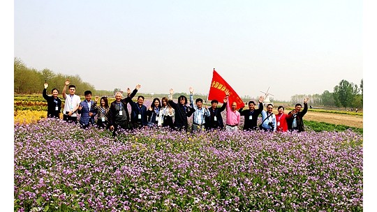 以槐為媒 約你一起遇見(jiàn)美麗孤島 享受文化盛宴