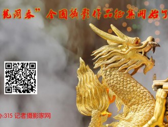 315記者攝影家網“辰龍鬧春”全國攝影作品征集開始了