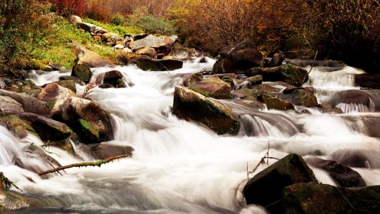 廣東省珠海市斗門攝影協(xié)會副主席  梁健波 攝影作品欣賞