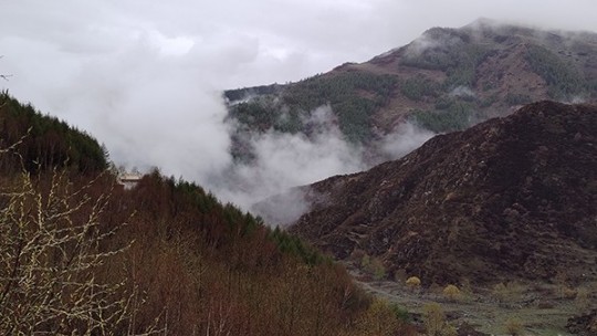 李月詩(shī)畫攝影：五臺(tái)山春色