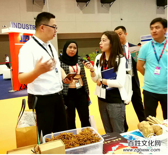 中國“水井巷”在國際展覽會上大放異彩