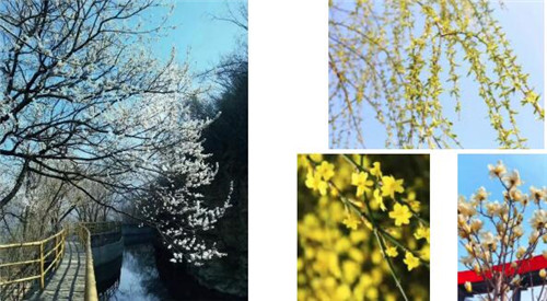 紅旗渠風景區(qū)有序開放 迎來首批游客