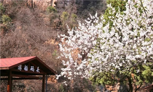 紅旗渠風景區(qū)有序開放 迎來首批游客