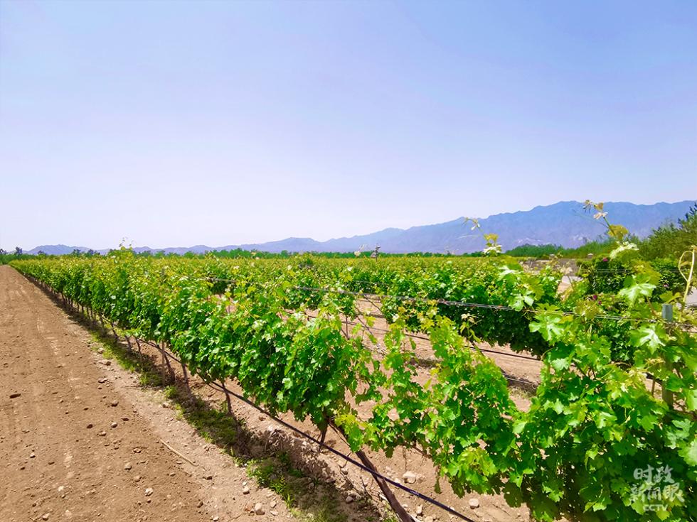 寧夏之行，習(xí)近平提出“三個不動搖”