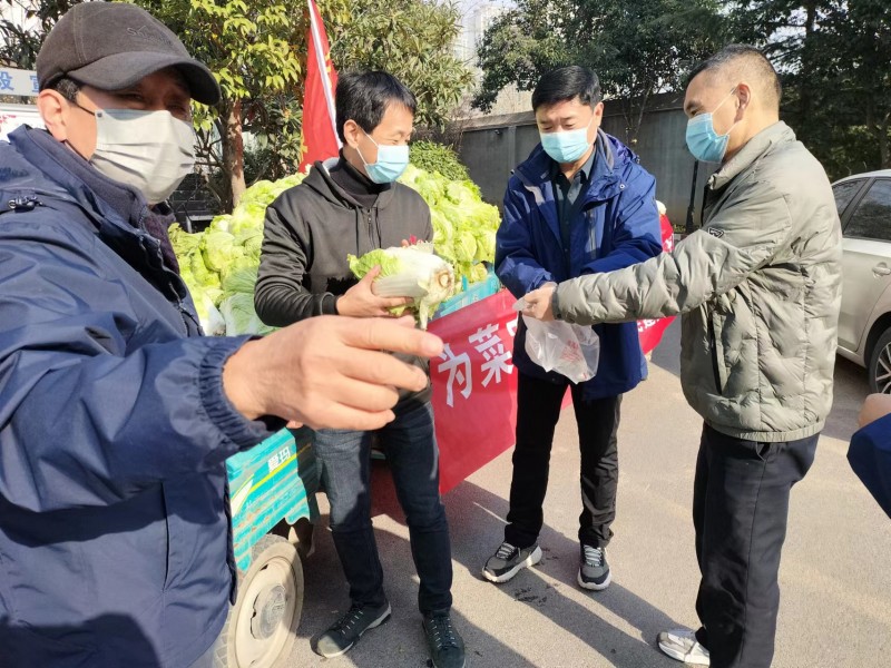 安陽(yáng)民建會(huì)員愛(ài)心接力為社區(qū)捐贈(zèng)蔬菜