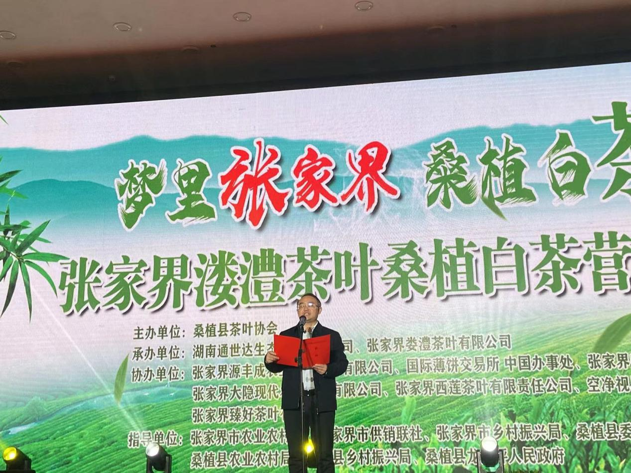 夢(mèng)里張家界 桑植白茶醇 桑植白茶營(yíng)銷招商大會(huì)圓滿舉行