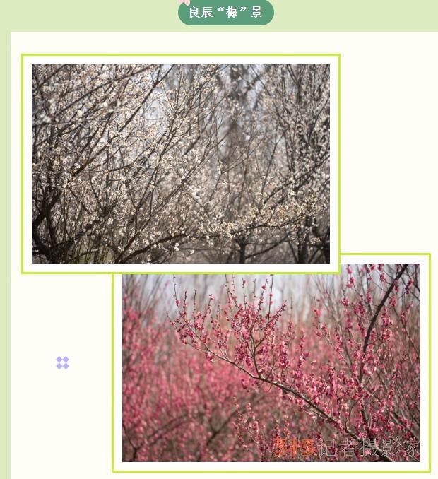 森林之城 醉美唐陵 | 第二屆天王唐陵花木節(jié)今日盛大開(kāi)幕