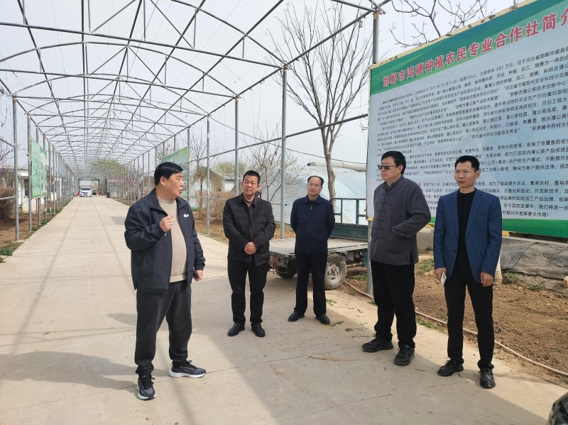 中媒企業(yè)文化發(fā)展工作委員會(huì)一行到河北蒲公英產(chǎn)業(yè)基地調(diào)研