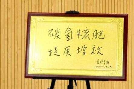 助力鄉(xiāng)村生態(tài)農(nóng)業(yè)，徐州豐縣舉行碳?xì)浜朔始夹g(shù)研討會