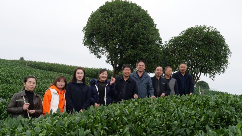 “碳?xì)錈o(wú)憂進(jìn)千縣 安全食品進(jìn)萬(wàn)家”在貴州凱里啟動(dòng)