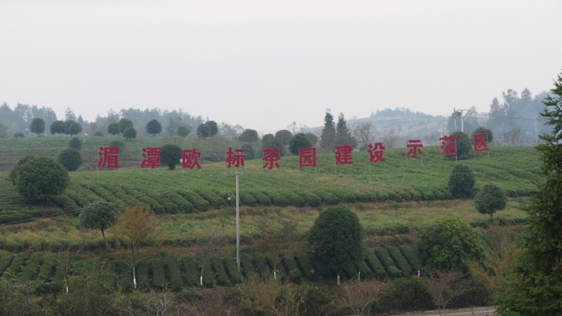 “碳?xì)錈o(wú)憂進(jìn)千縣 安全食品進(jìn)萬(wàn)家”在貴州凱里啟動(dòng)