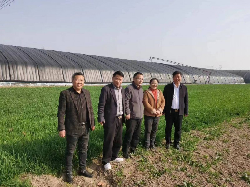 助力鄉(xiāng)村振興，碳氫核肥落地淮南項目座談會在淮南市舉行