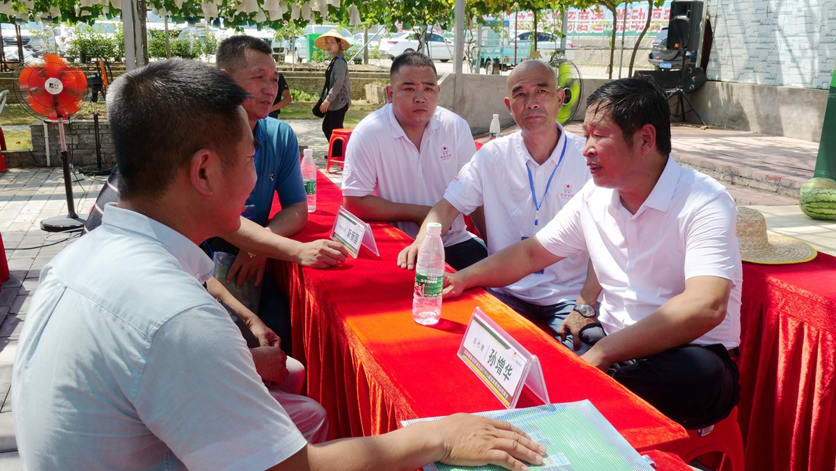 葡萄園里助農(nóng)忙——碳氫核肥碳氫葡萄現(xiàn)場觀摩會在福建福安象環(huán)村召開 葡萄園里助農(nóng)忙——碳氫核肥碳氫葡萄現(xiàn)場觀摩會在福建福安象環(huán)村召開