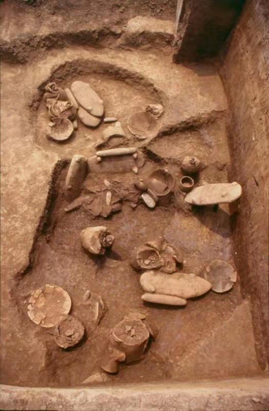 磁山文化寫進(jìn)中小學(xué)教科書 中國歷史文化更加完善