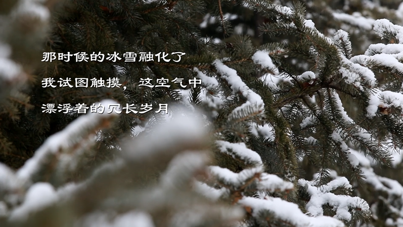 眾志成城抗疫情 文藝戰(zhàn)線在行動(dòng)(九)著名作家蔡蘭茹