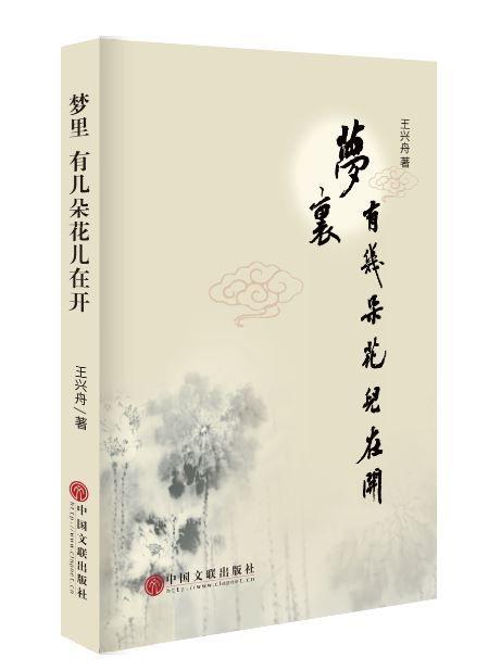 王興舟《夢里 有幾朵花兒在開》：告訴你散文最寶貴的品質(zhì)是什么