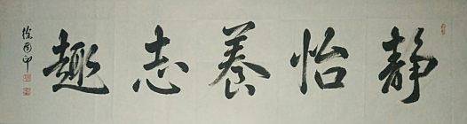 著名書(shū)法家徐國(guó)印作品專(zhuān)輯