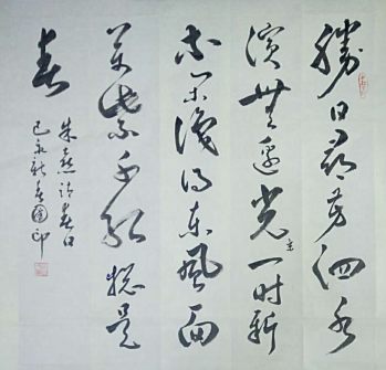 著名書(shū)法家徐國(guó)印作品專(zhuān)輯