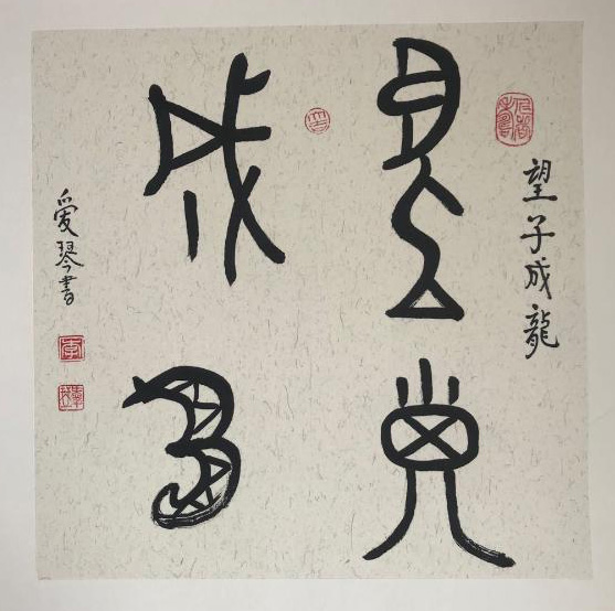 中國當(dāng)代實(shí)力派書畫名家李愛琴書法藝術(shù)欣賞