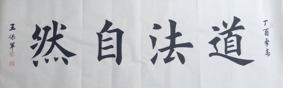 中國當代實力派書畫名家王保軍書法藝術(shù)欣賞