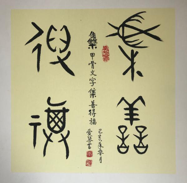 中國(guó)當(dāng)代實(shí)力派書畫名家李愛琴書法藝術(shù)欣賞