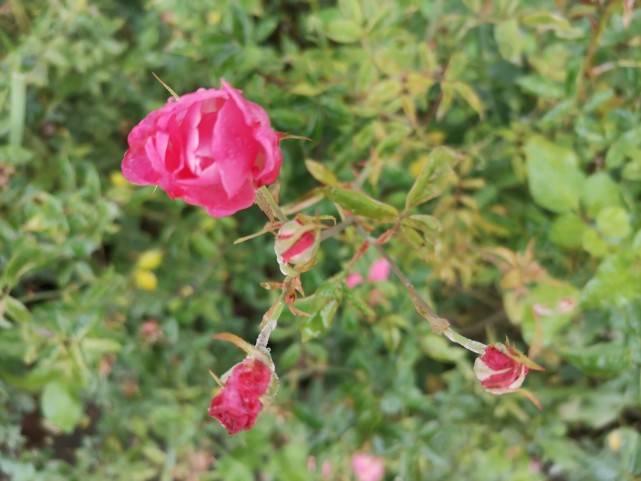 螞蟻全媒體總編劉鑫煒：創(chuàng)業(yè)公司如何進(jìn)行低成本的網(wǎng)絡(luò)營銷推廣？