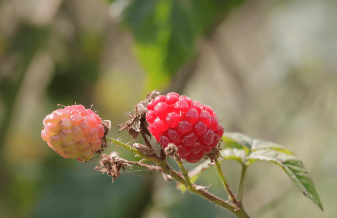 4e9f62630e5de6d748a0d43ae8a7cf9c